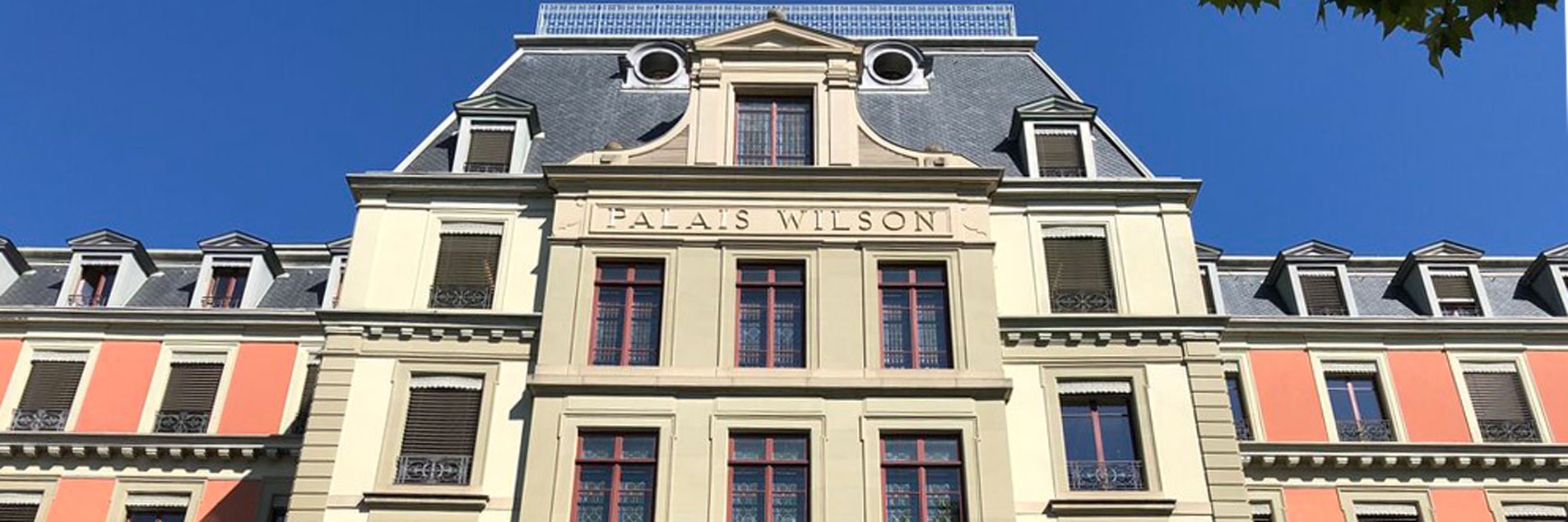 2018 Anuario del CESCR