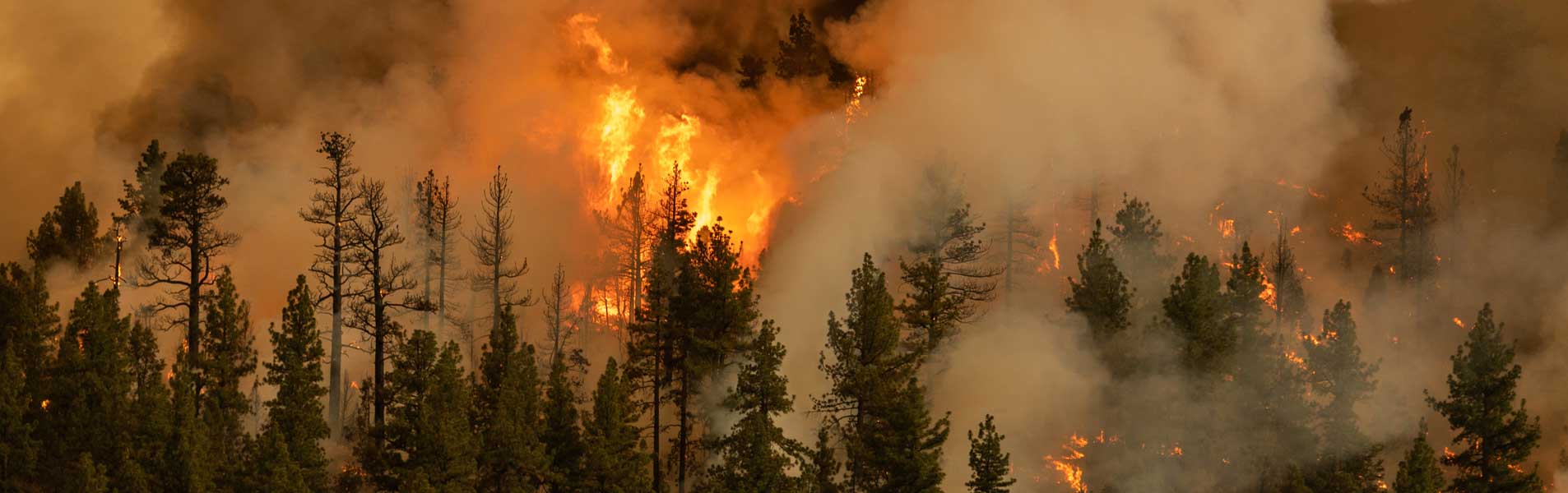 UN Rapporteur on Climate Change takes up GI-ESCR's recommendation