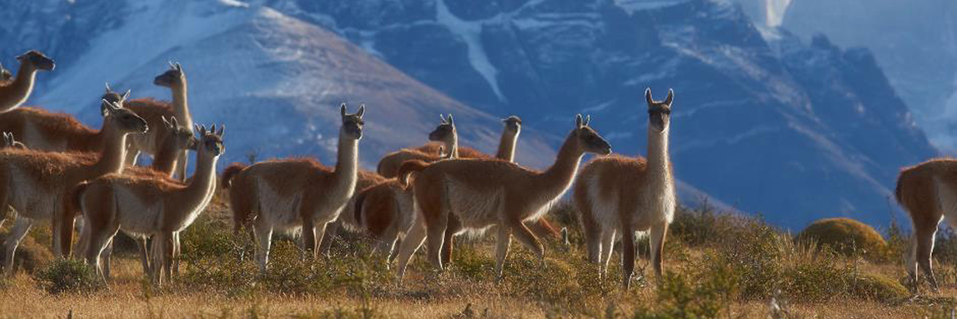 Principales resultados y reflexiones sobre la Primera Conferencia de las Partes del Acuerdo de Escazú