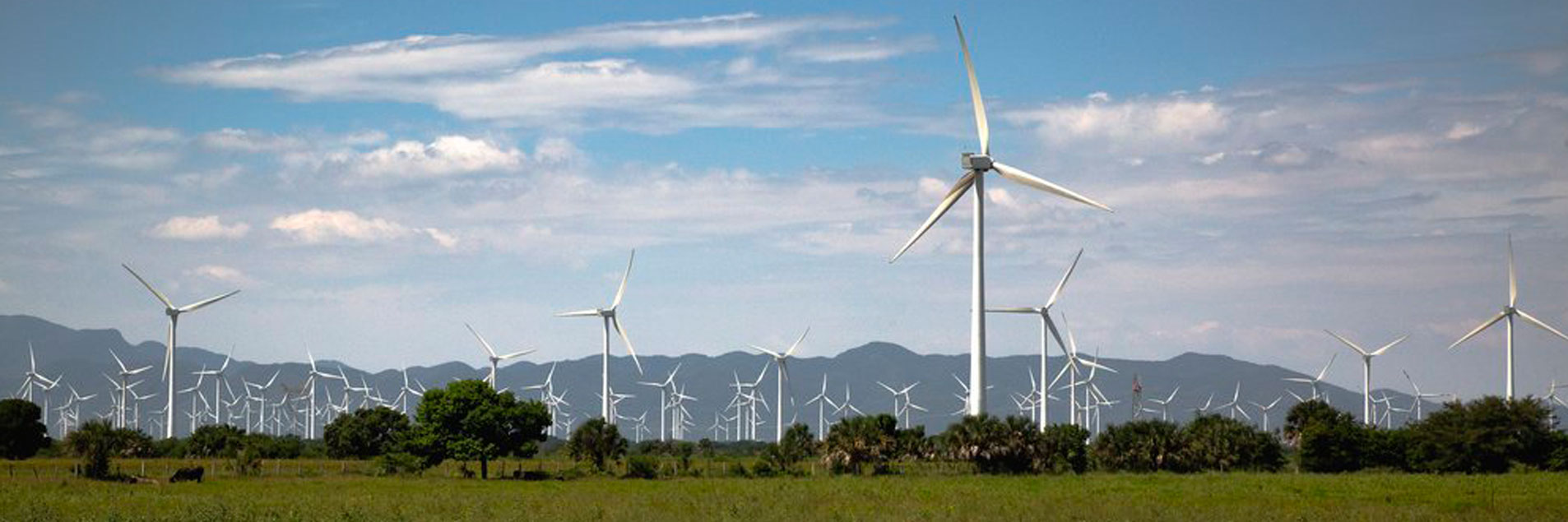 UN experts call on all Électricité de France (EDF) 