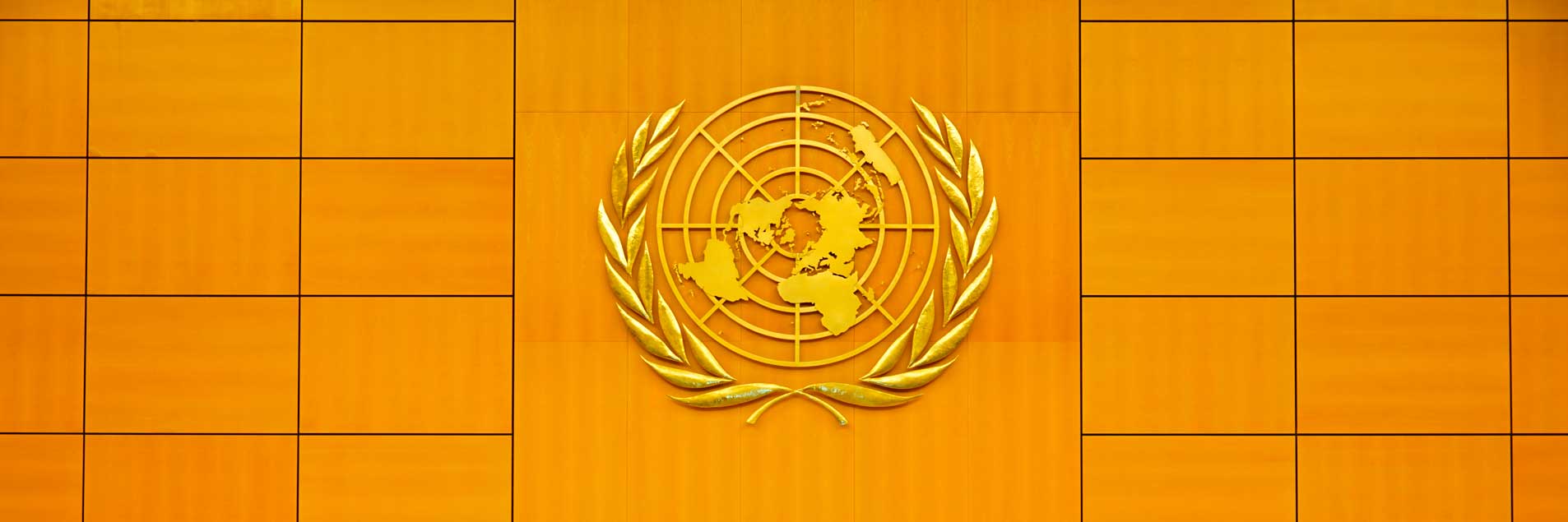 Tenants’ right to adequate housing is recognized by the UN CESCR