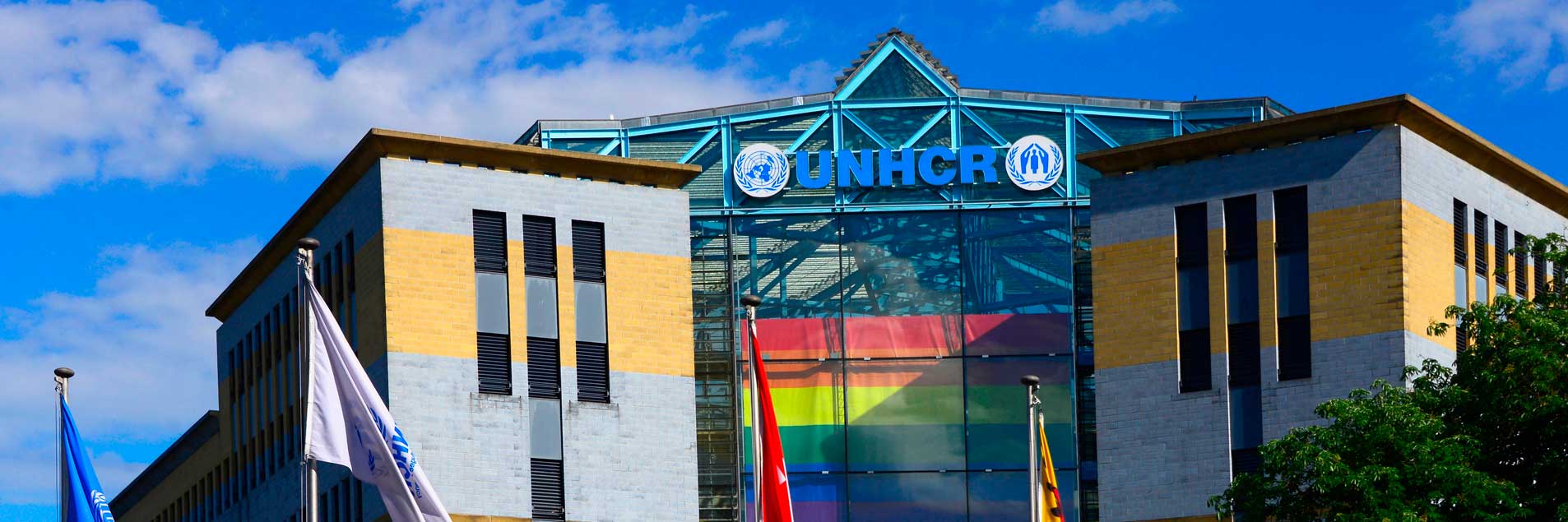 60th session of the Committee on ESCR