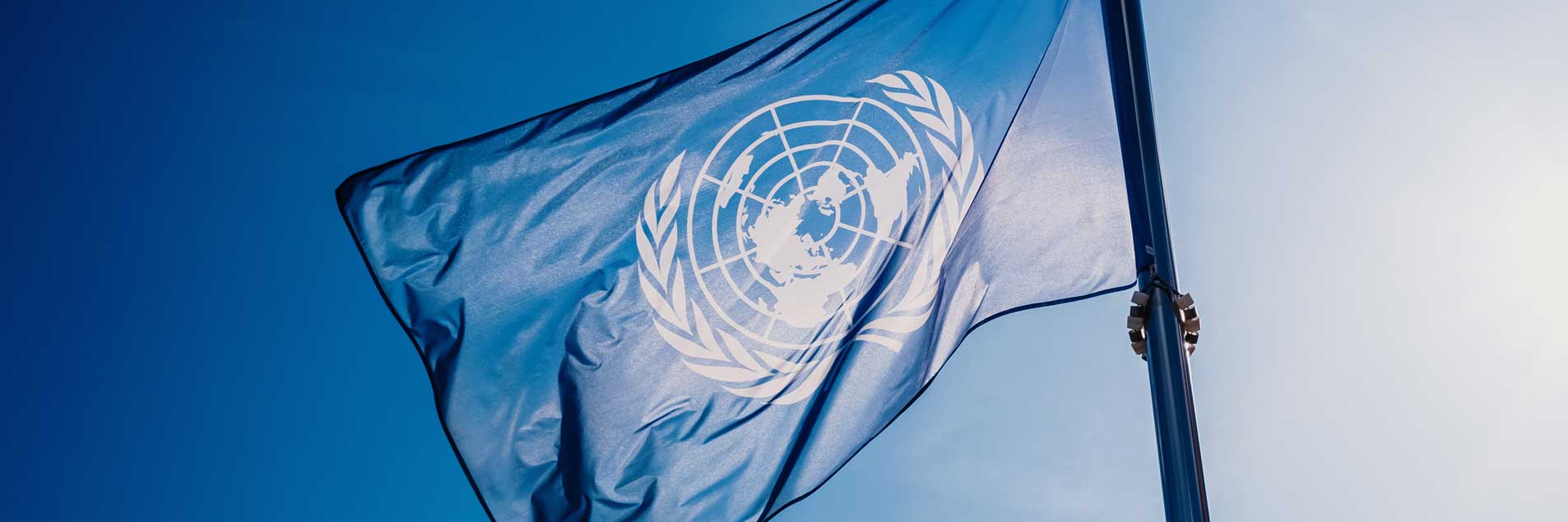 CESCR Committee Elections