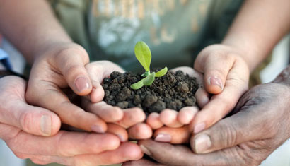 Joint Collective Submission on Just Transition and Human Rights