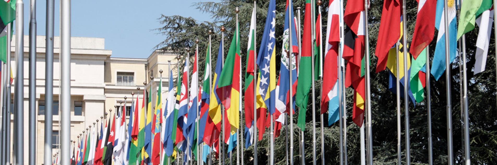 Advancing Towards the Sustainable Development Goals