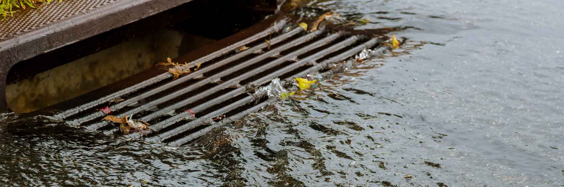 Oral Statement on Water &amp; Sanitation