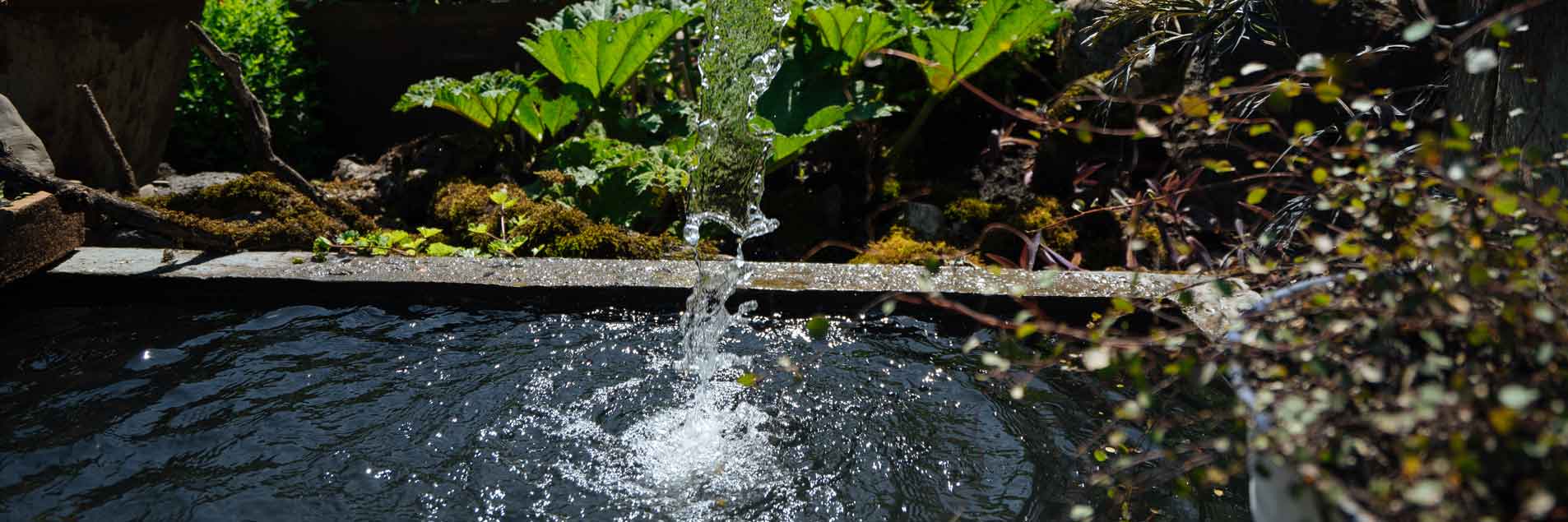 Submission on the Draft Guidelines on the Right to Water in Africa