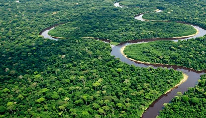 Just Transition Negotiations at COP: How We Arrived and How We Left Belém