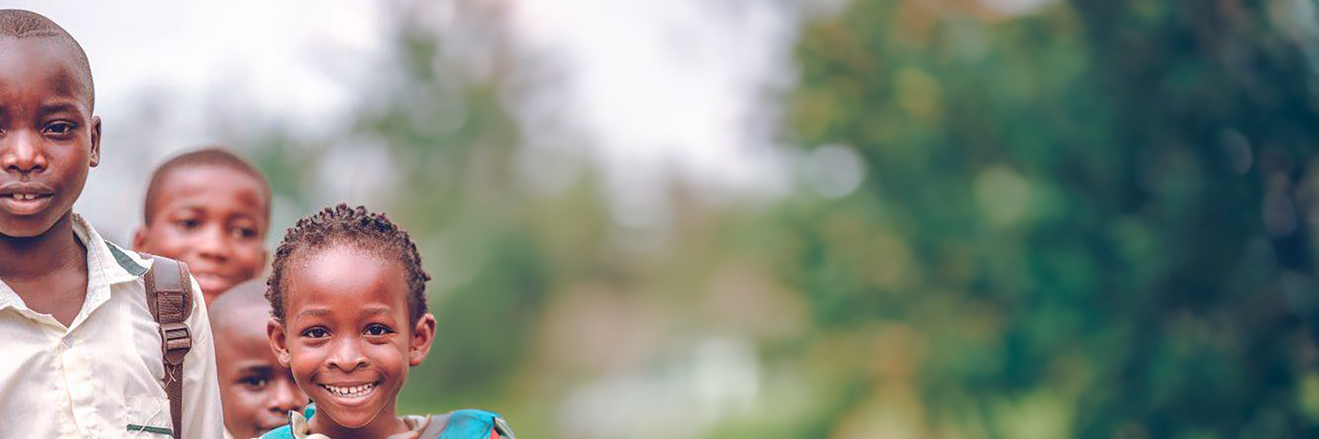 Series: Public Services in Africa