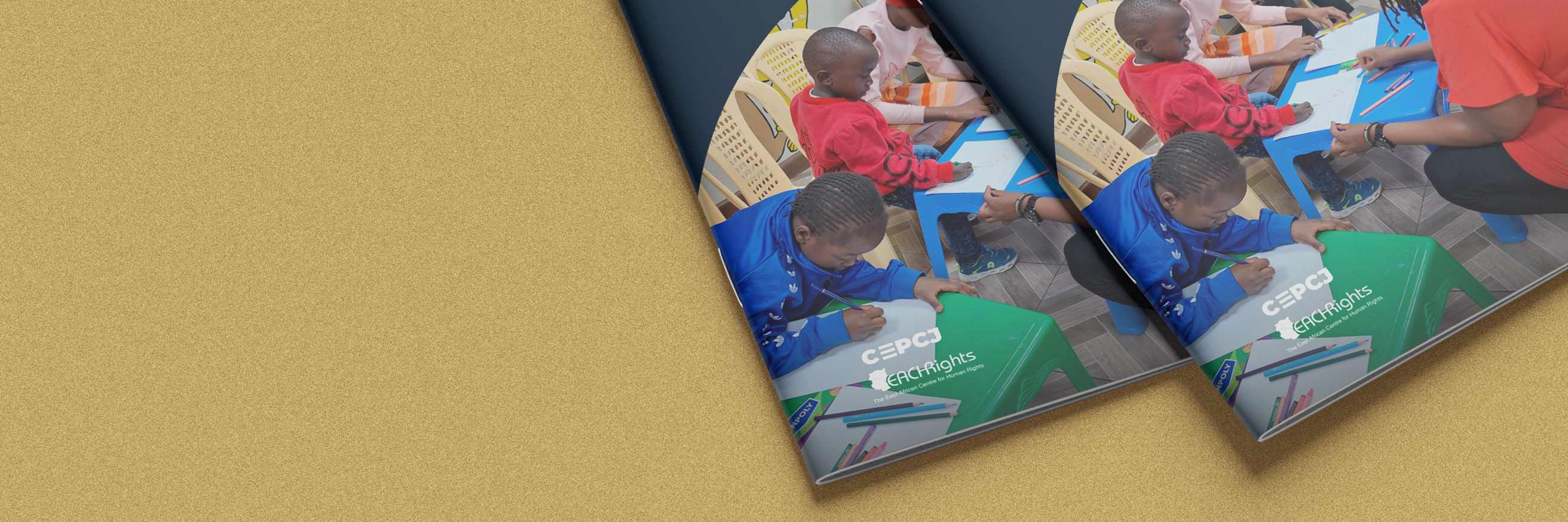 ‘Build Us More Schools!’ - The Quest for Quality Free Education in Mabatini and Ngei Wards of Mathare, Nairobi