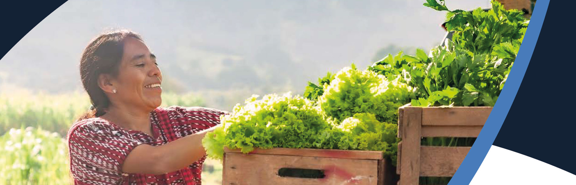 A Care-Led Transition to a Sustainable Future