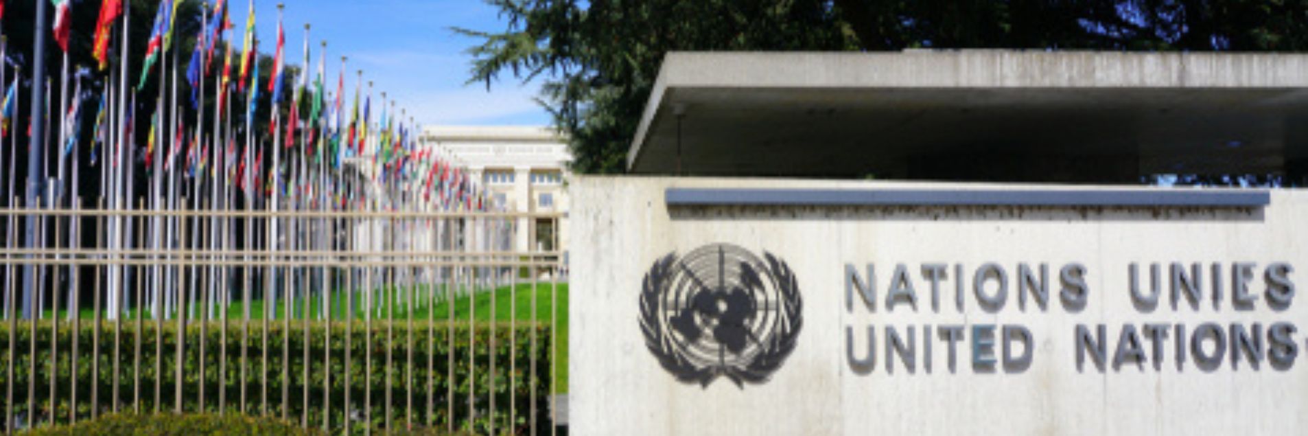 Contribution to General Comment on ESC Rights and the Environmental Dimension of Sustainable Development by the CESCR