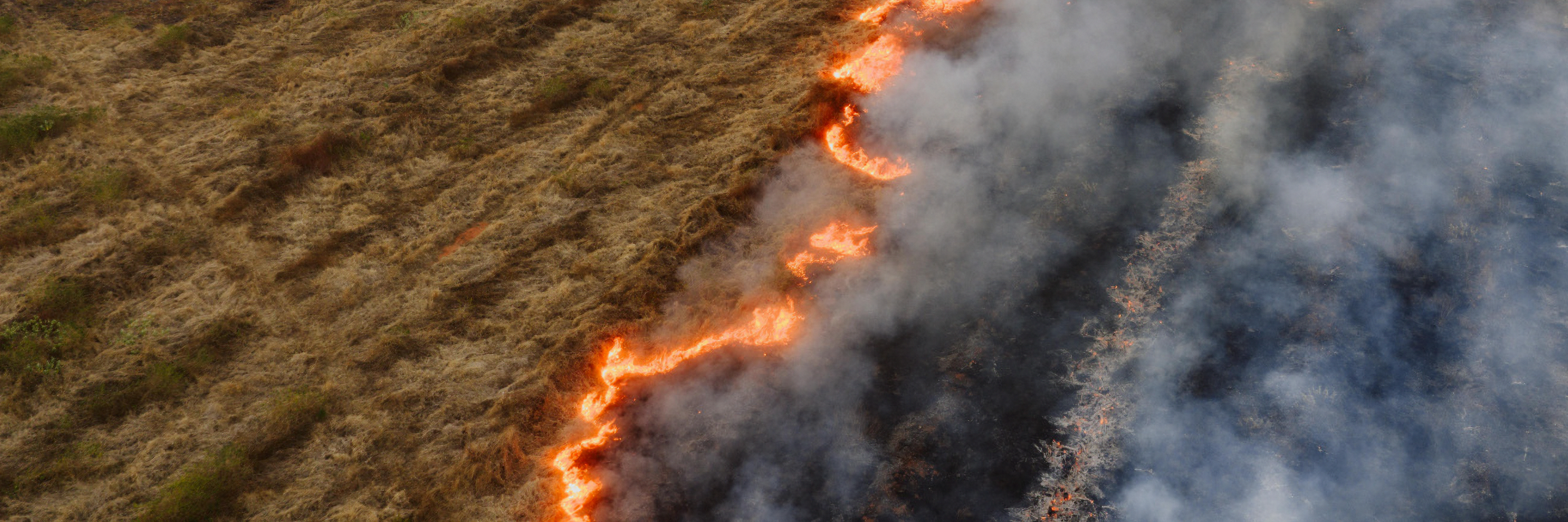 GI-ESCR Joins Nearly 150 Organisations Calling for Ambitious Climate Finance Ahead of COP31