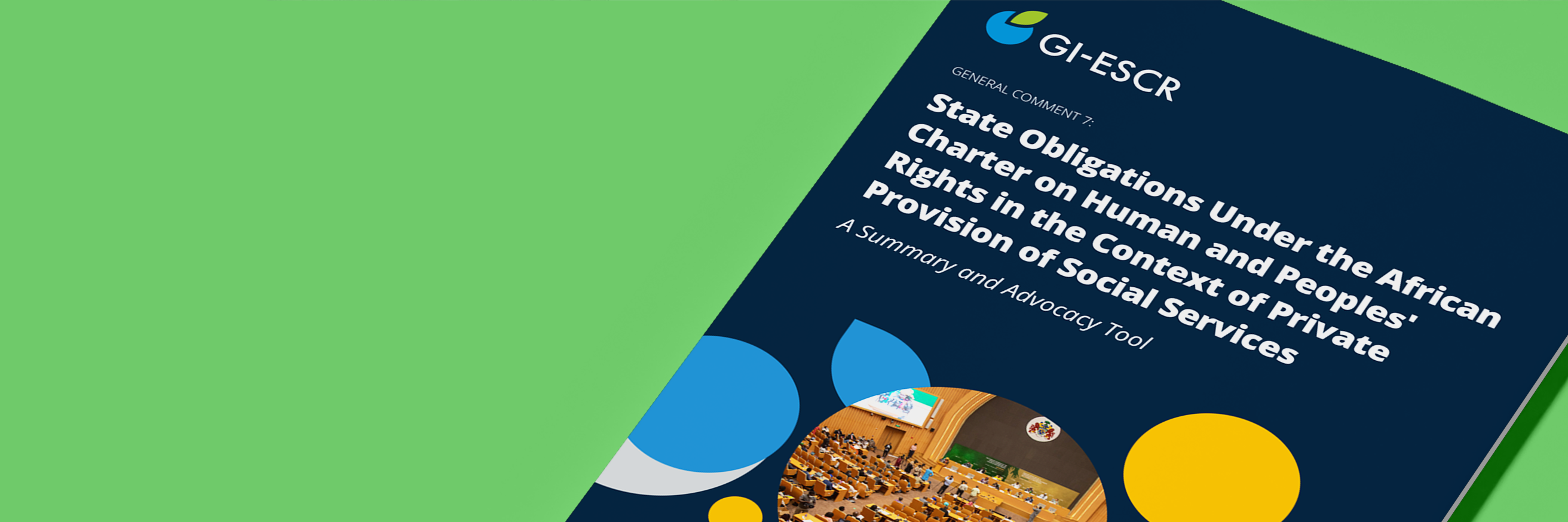 State Obligations Under the African Charter on Human and Peoples’ Rights in the Context of Private Provision of Social Services